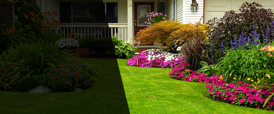 Fayette Landscapers